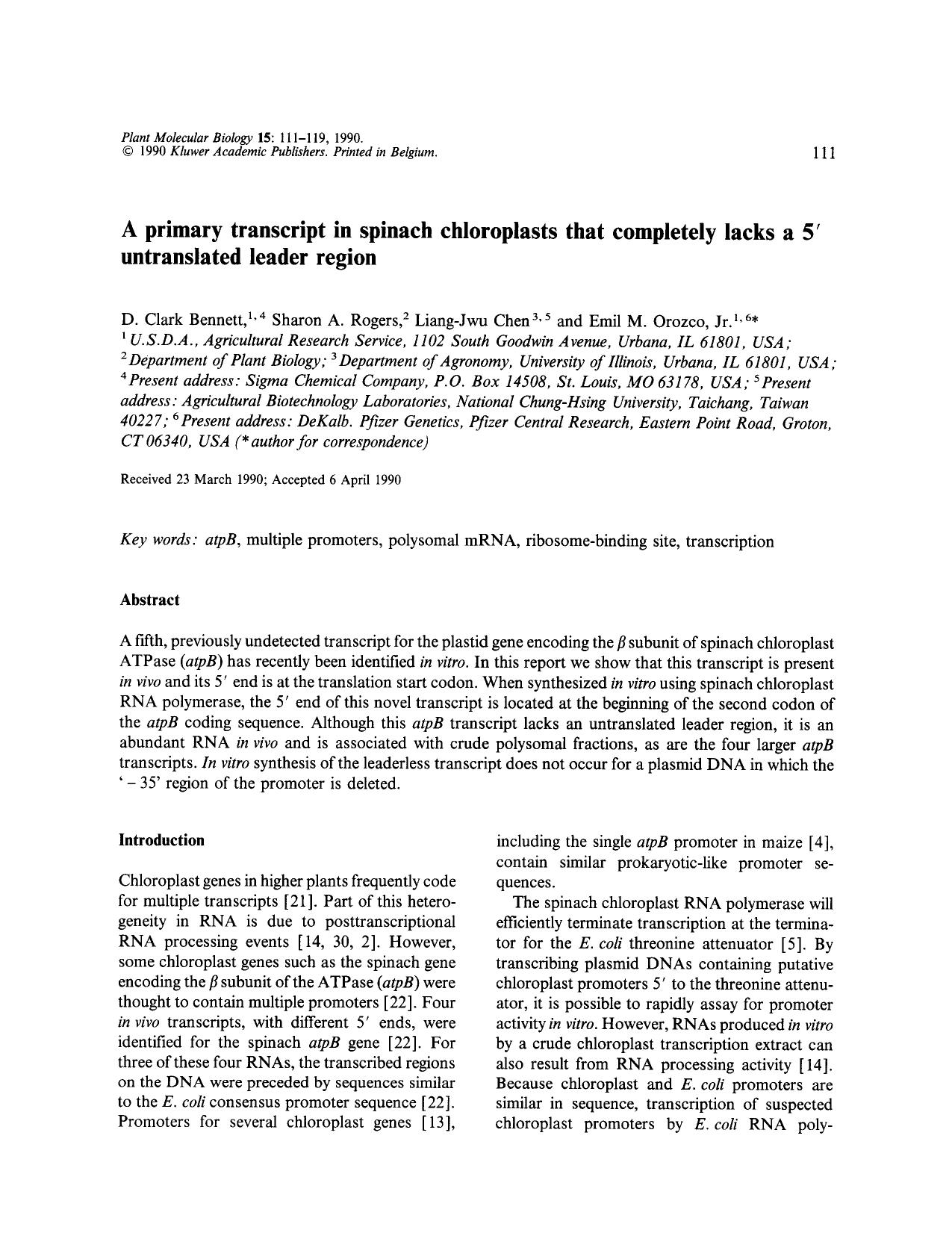 A primary transcript in spinach chloroplasts that completely lacks a 5′ untranslated leader region by Unknown