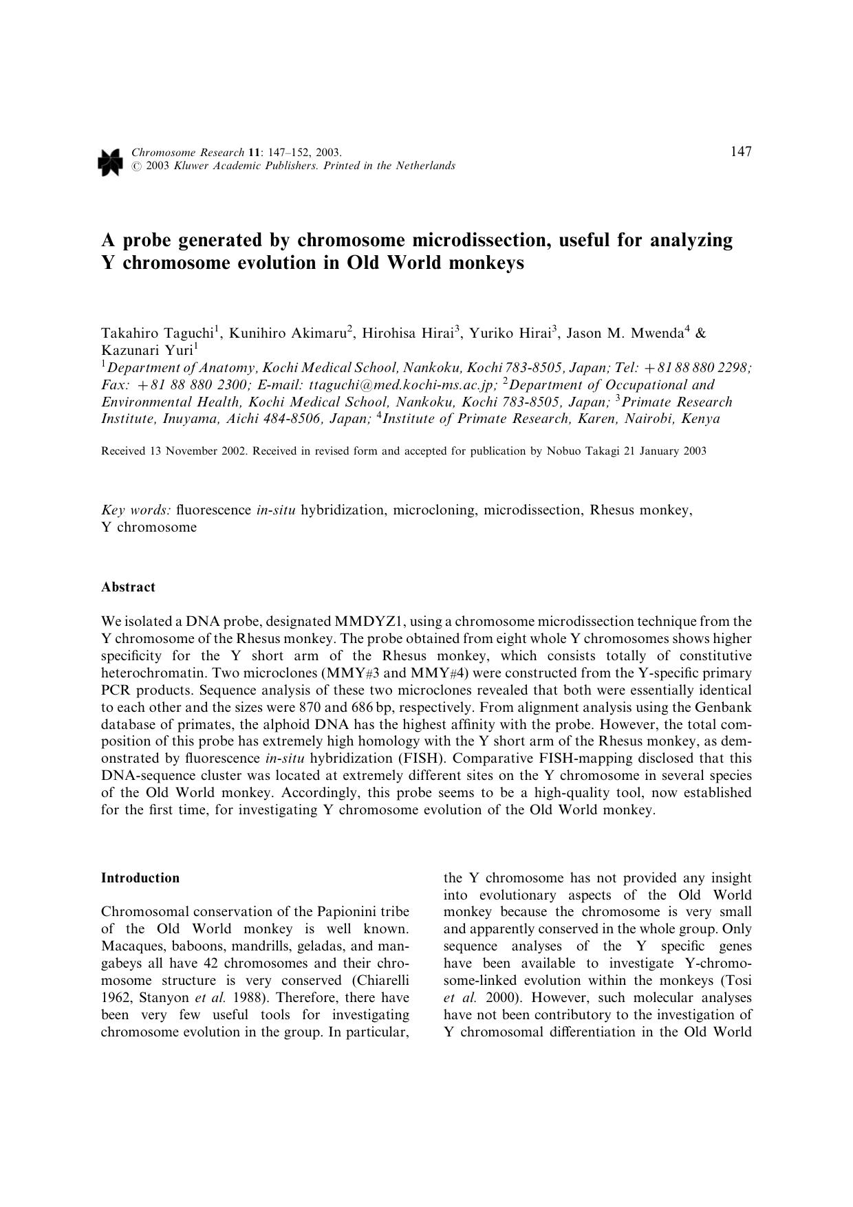 A probe generated by chromosome microdissection, useful for analyzing Y chromosome evolution in Old World monkeys by Unknown