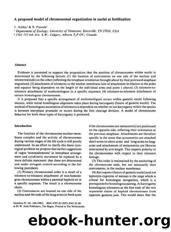 A proposed model of chromosomal organization in nuclei at fertilization by Unknown