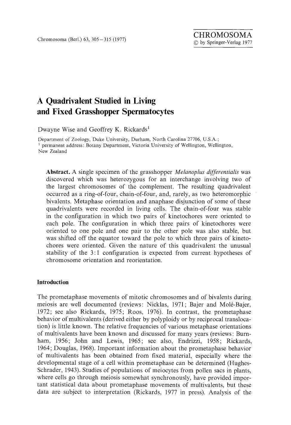 A quadrivalent studied in living and fixed grasshopper spermatocytes by Unknown