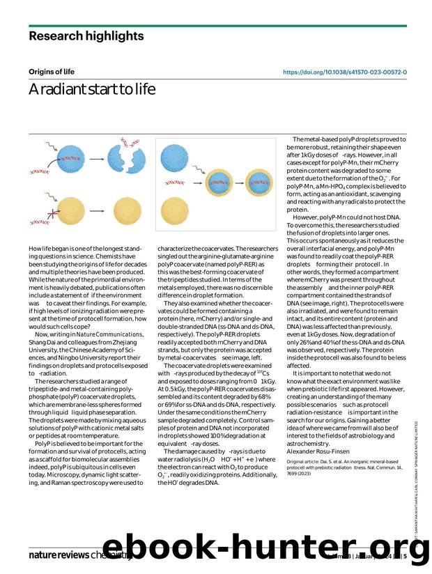 A radiant start to life by Alexander Rosu-Finsen