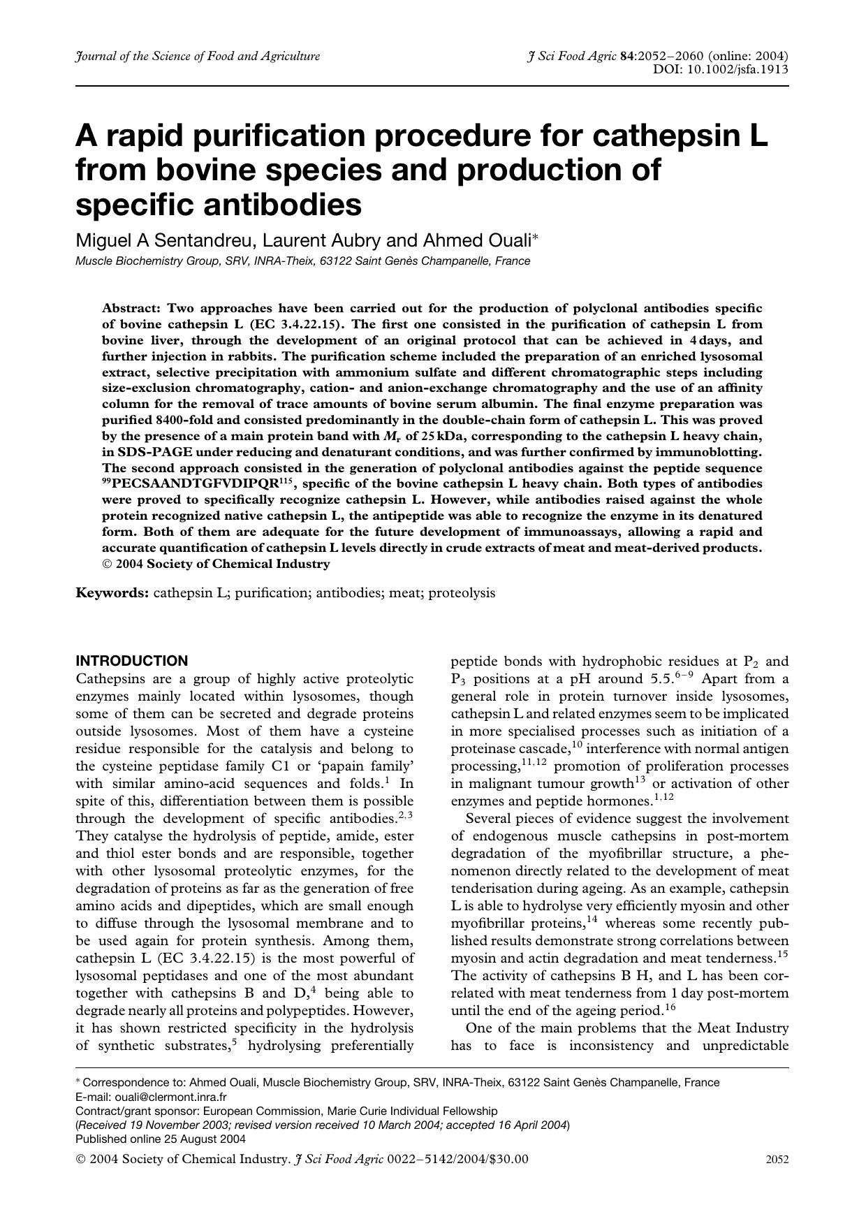 A rapid purification procedure for cathepsin L from bovine species and production of specific antibodies by Unknown