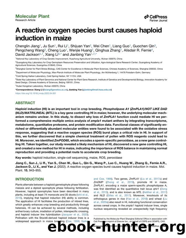 A reactive oxygen species burst causes haploid induction in maize by unknow