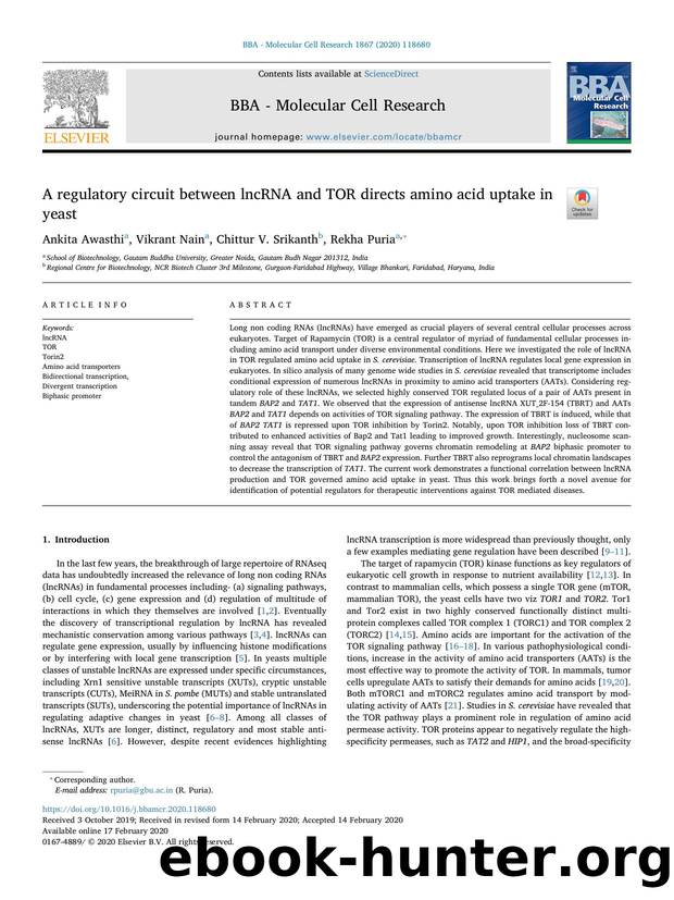 A regulatory circuit between lncRNA and TOR directs amino acid uptake in yeast by Ankita Awasthi & Vikrant Nain & Chittur V. Srikanth & Rekha Puria