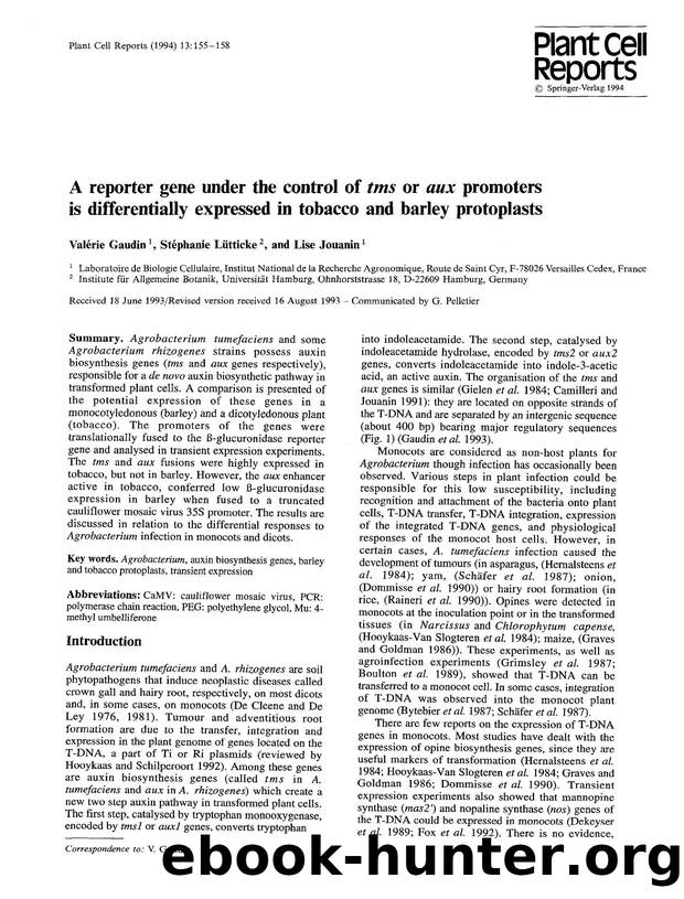 A reporter gene under the control of <Emphasis Type="Italic">tms<Emphasis> or <Emphasis Type="Italic">aux<Emphasis> promoters is differentially expressed in tobacco and barley protoplasts by Unknown
