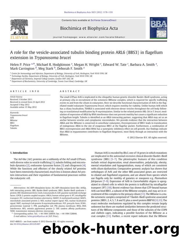 A role for the vesicle-associated tubulin binding protein ARL6 (BBS3) in flagellum extension in Trypanosoma brucei by unknow