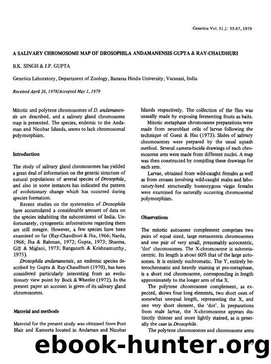 A salivary chromosome map of Drosophila andamanensis Gupta &amp; Ray-Chaudhuri by Unknown