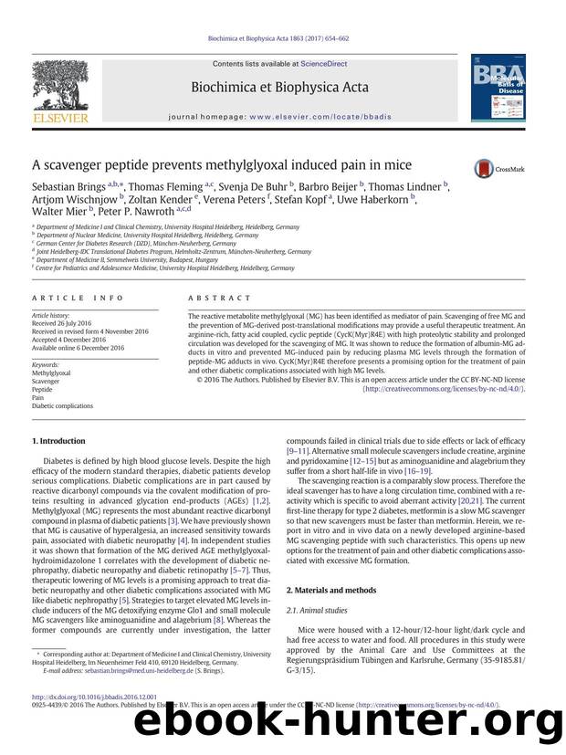 A scavenger peptide prevents methylglyoxal induced pain in mice by unknow