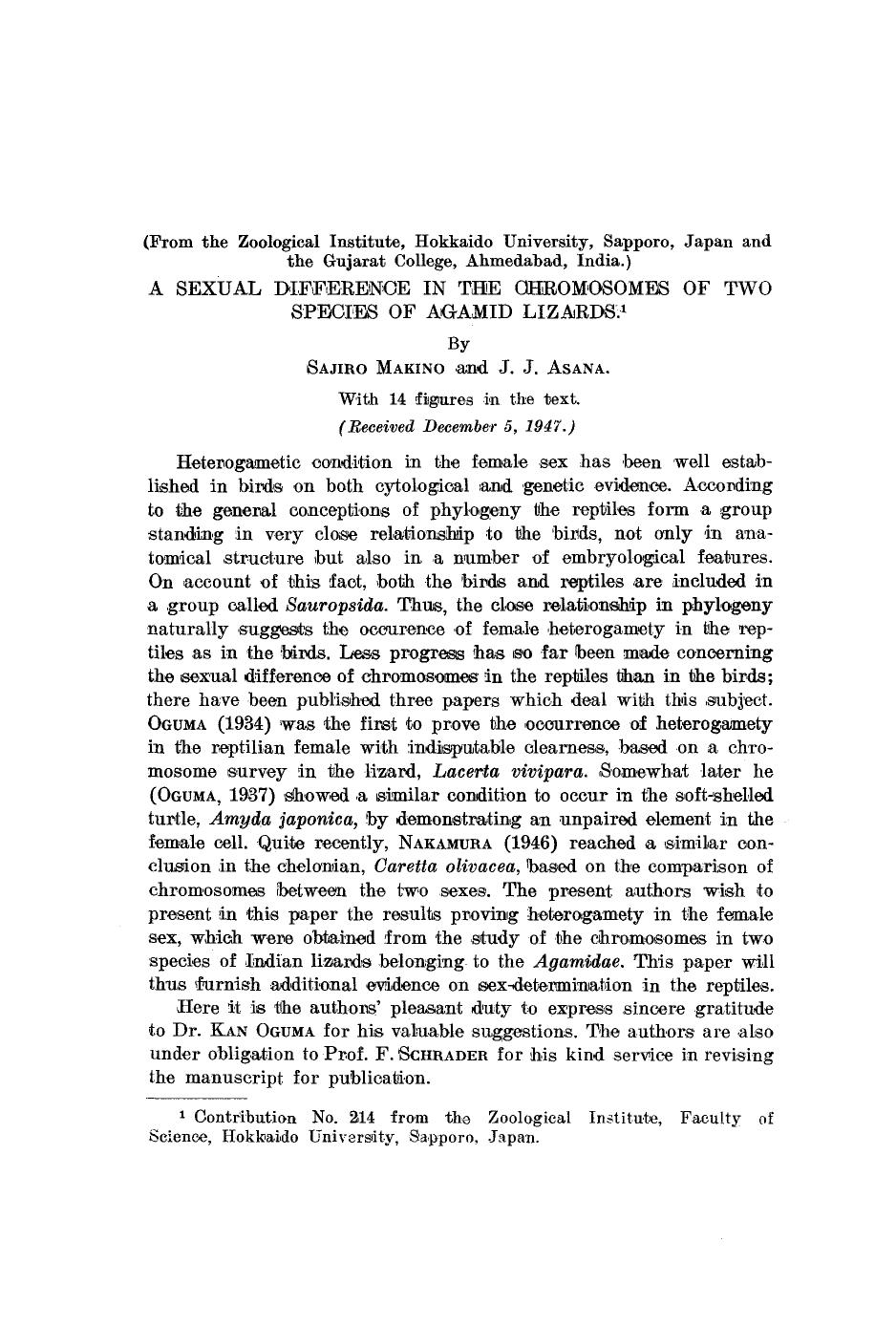 A sexual difference in the chromosomes of two species of agamid lizards by Unknown