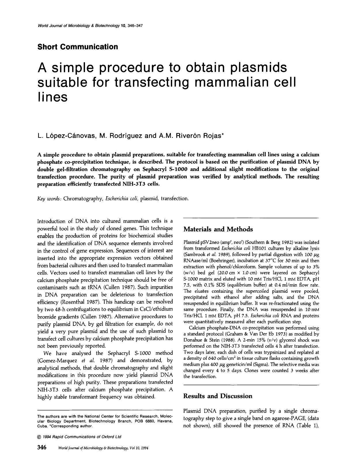 A simple procedure to obtain plasmids suitable for transfecting mammalian cell lines by Unknown