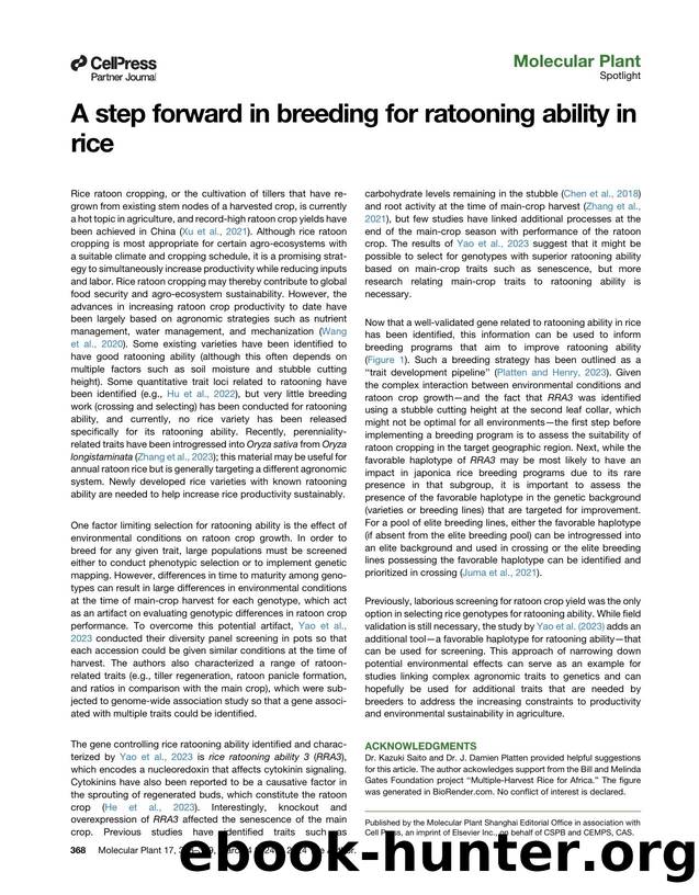 A step forward in breeding for ratooning ability in rice by Amelia Henry