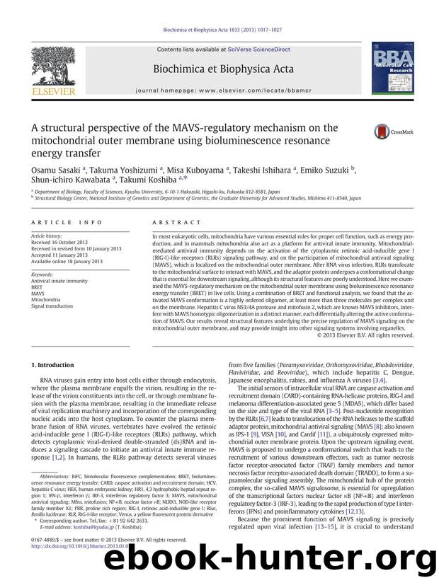 A structural perspective of the MAVS-regulatory mechanism on the mitochondrial outer membrane using bioluminescence resonance energy transfer by unknow