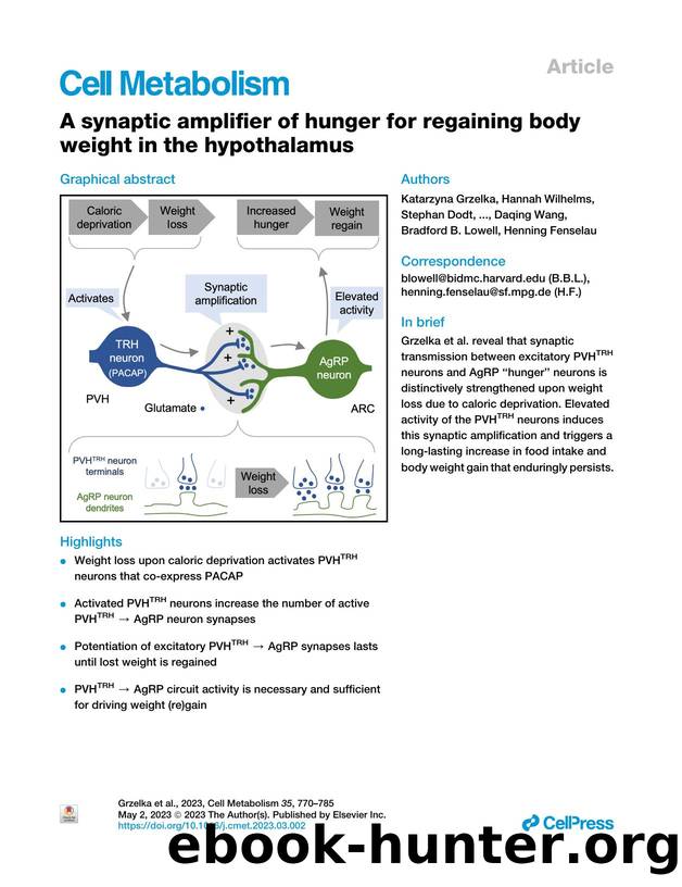A synaptic amplifier of hunger for regaining body weight in the hypothalamus by unknow