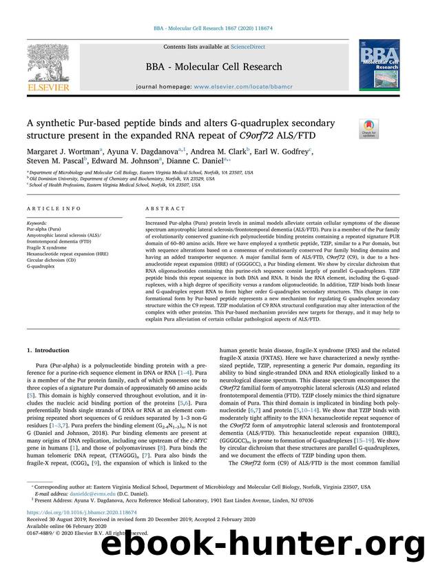 A synthetic Pur-based peptide binds and alters G-quadruplex secondary structure present in the expanded RNA repeat of C9orf72 ALSFTD by unknow