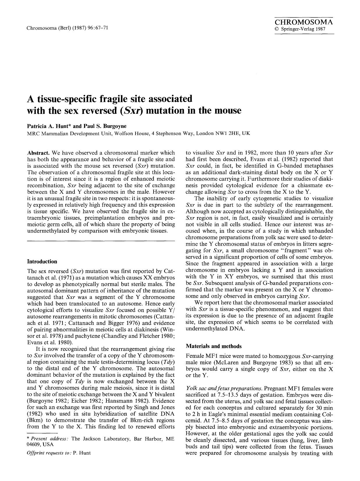 A tissue-specific fragile site associated with the sex reversed (<Emphasis Type="Italic">Sxr<Emphasis>) mutation in the mouse by Unknown