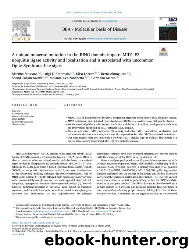 A unique missense mutation in the RING domain impairs MID1 E3 ubiquitin ligase activity and localisation and is associated with uncommon Opitz Syndrome-like signs by unknow