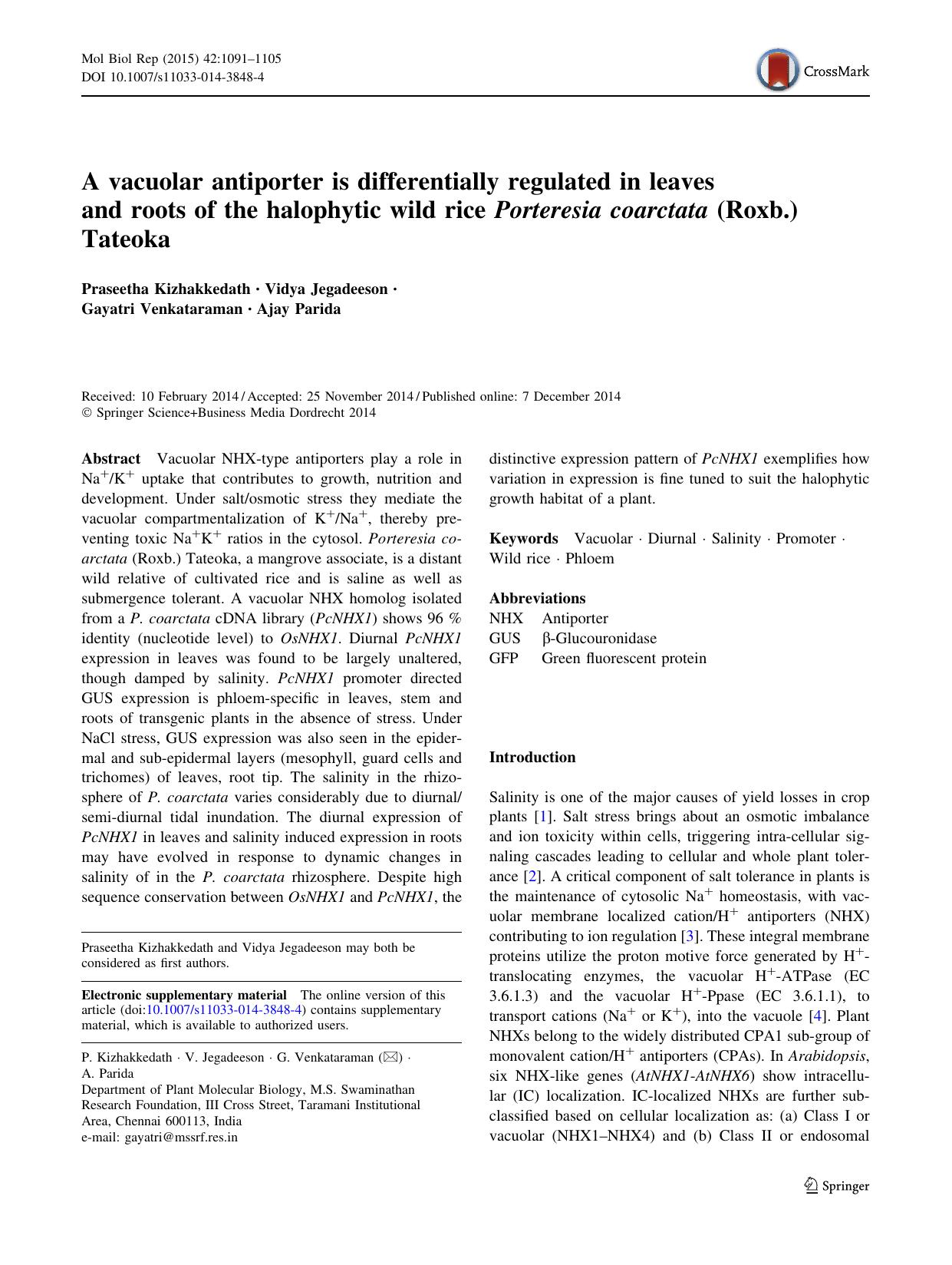 A vacuolar antiporter is differentially regulated in leaves and roots of the halophytic wild rice Porteresia coarctata (Roxb.) Tateoka by Praseetha Kizhakkedath & Vidya Jegadeeson & Gayatri Venkataraman & Ajay Parida