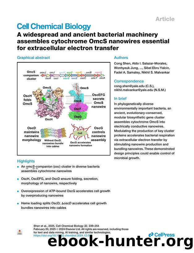 A widespread and ancient bacterial machinery assembles cytochrome OmcS nanowires essential for extracellular electron transfer by unknow