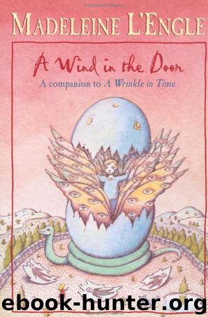 A wind in the door by Madeleine L'Engle