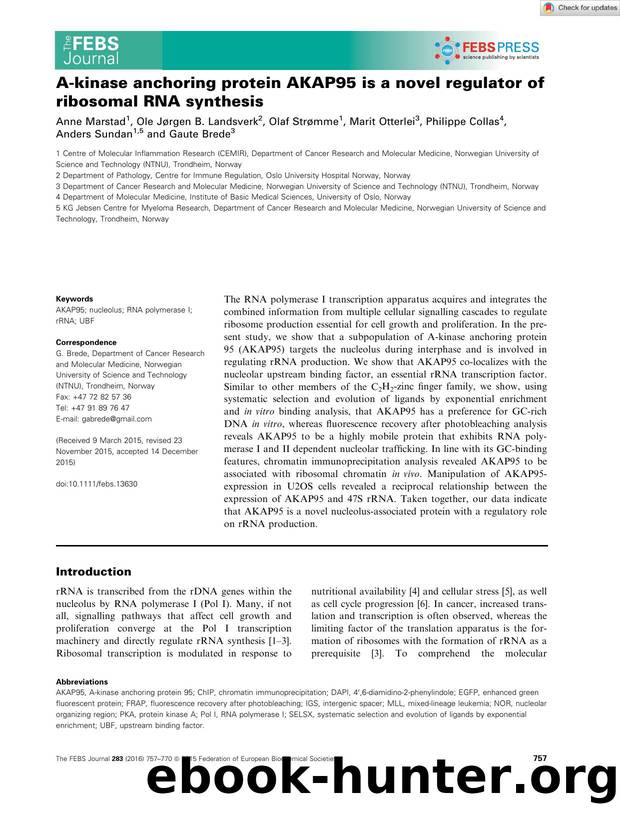 Aâkinase anchoring protein AKAP95 is a novel regulator of ribosomal RNA synthesis by Unknown