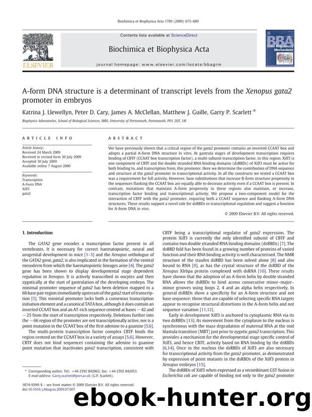 A-form DNA structure is a determinant of transcript levels from the Xenopus gata2 promoter in embryos by Katrina J. Llewellyn; Peter D. Cary; James A. McClellan; Matthew J. Guille; Garry P. Scarlett