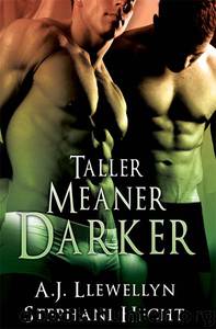 A.J. Llewellyn & Stephani Hecht - Tall, Mean & Darkly 2 - Taller, Meaner, Darker by AJ Llewellyn & Stephani Hecht