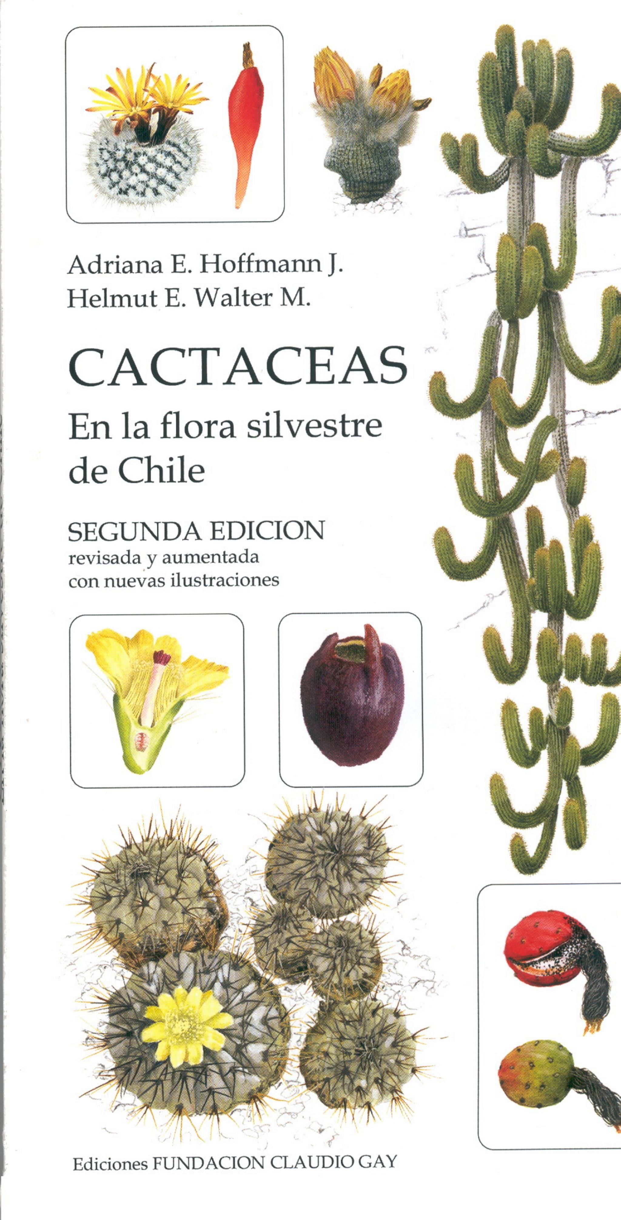 ACDSee PDF Image. by Cactaceas. En flora silvestre de Chile (испанский 2004)