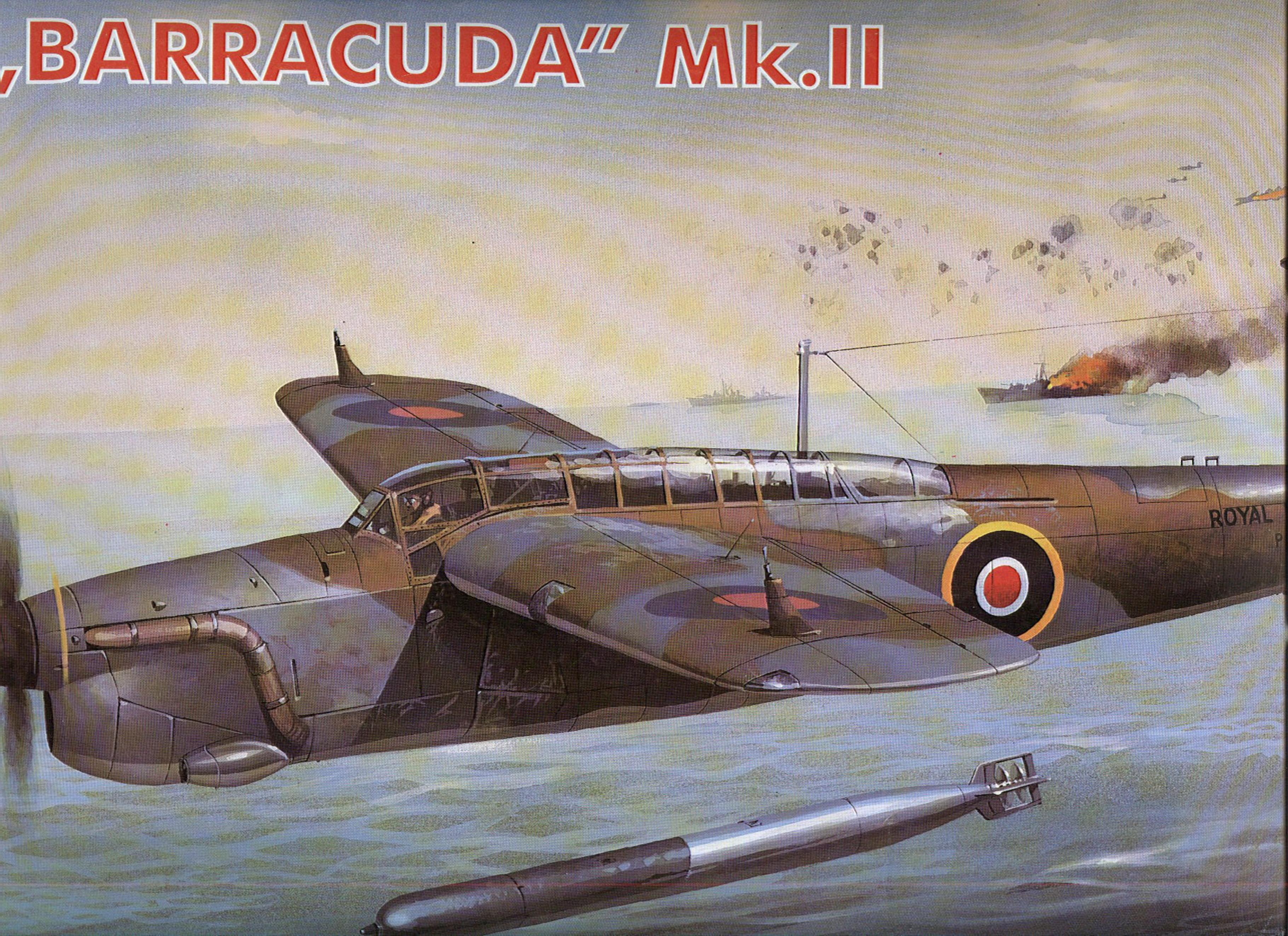 ACDSee PDF Image. by Fairey Barracuda