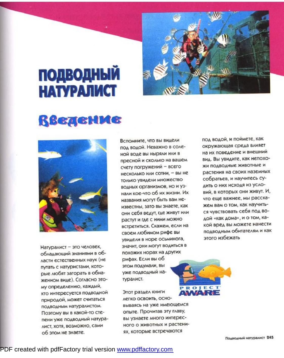 ACDSee print job by 2006