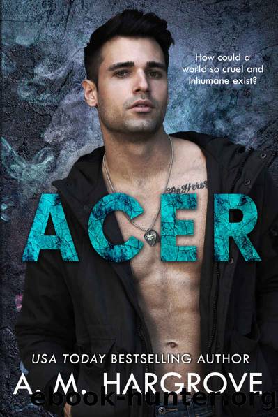 ACER: A Stand Alone, New Adult, Friends To Lovers Romance by A. Hargrove
