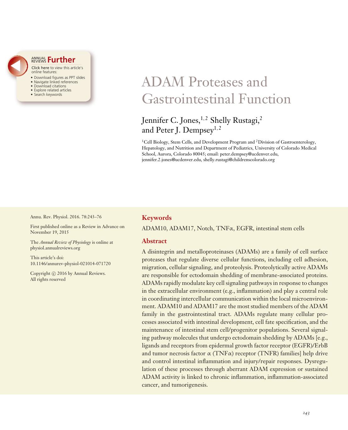 ADAM Proteases and Gastrointestinal Function by Jennifer C. Jones Shelly Rustagi Peter J. Dempsey