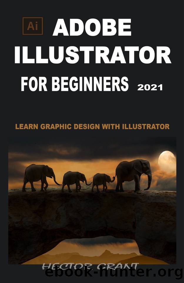 ADOBE ILLUSTRATOR FOR BEGINNERS 2021: LEARN GRAPHIC DESIGN WITH ILLUSTRATOR by GRANT HECTOR