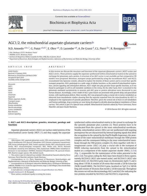 AGC12, the mitochondrial aspartate-glutamate carriers by N.D. Amoedo & G. Punzi & E. Obre & D. Lacombe & A. De Grassi & C.L. Pierri & R. Rossignol