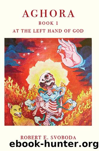 AGHORA BOOK I: AT THE LEFT HAND OF GOD by Svoboda Robert