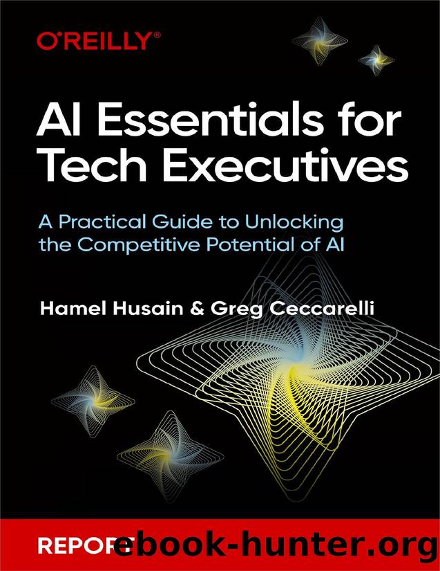 AI Essentials for Tech Executives (for Raymond Rhine) by Hamel Husain & Greg Ceccarelli