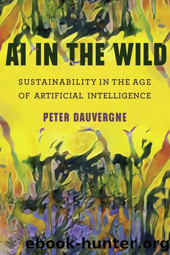 AI in the Wild by Peter Dauvergne