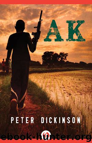 AK by Peter Dickinson