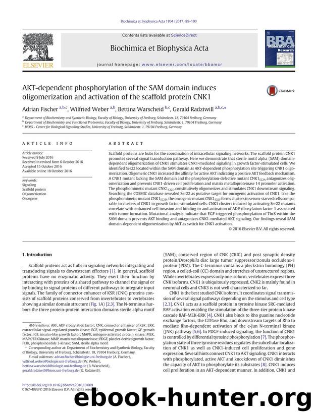AKT-dependent phosphorylation of the SAM domain induces oligomerization and activation of the scaffold protein CNK1 by Adrian Fischer & Wilfried Weber & Bettina Warscheid & Gerald Radziwill