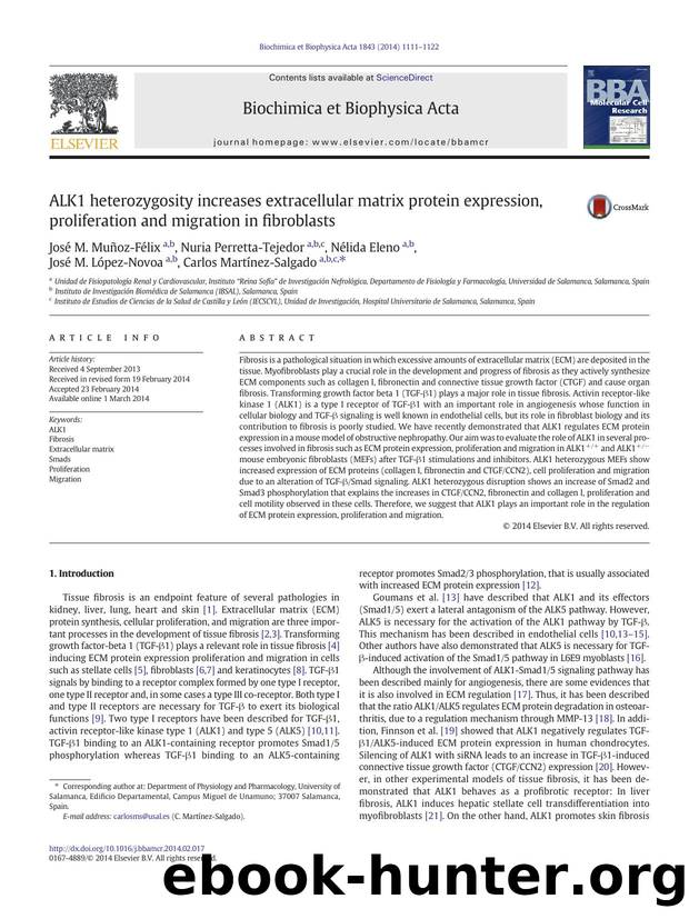 ALK1 heterozygosity increases extracellular matrix protein expression, proliferation and migration in fibroblasts by unknow