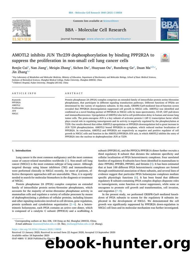 AMOTL2 inhibits JUN Thr239 dephosphorylation by binding PPP2R2A to suppress the proliferation in non-small cell lung cancer cells by Renjie Cui & Nan Jiang & Meiqin Zhang & Sichen Du & Huayuan Ou & Runsheng Ge & Duan Ma & Jin Zhang