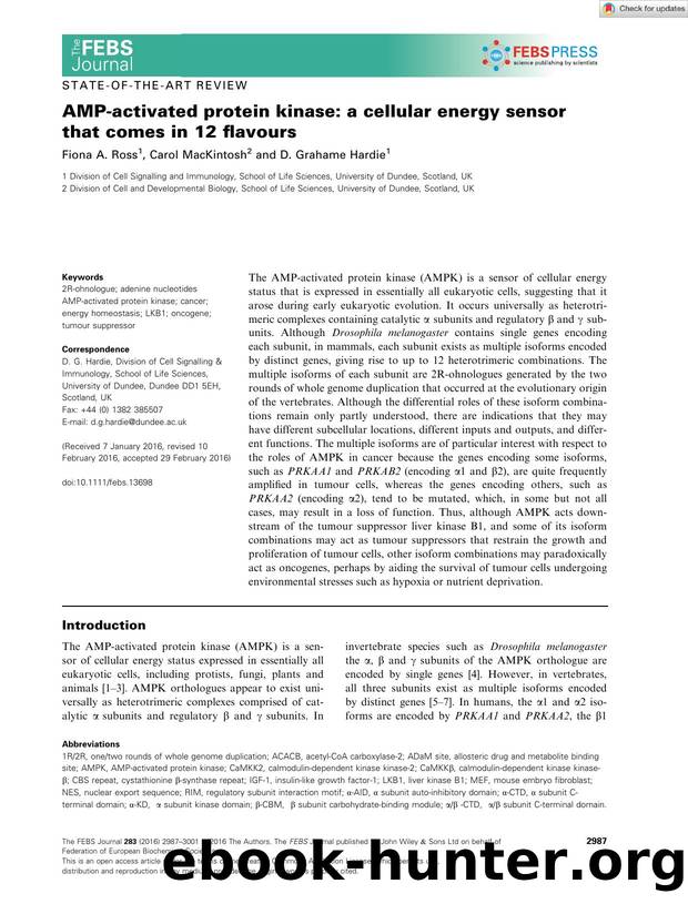 AMPâactivated protein kinase: a cellular energy sensor that comes in 12 flavours by Unknown