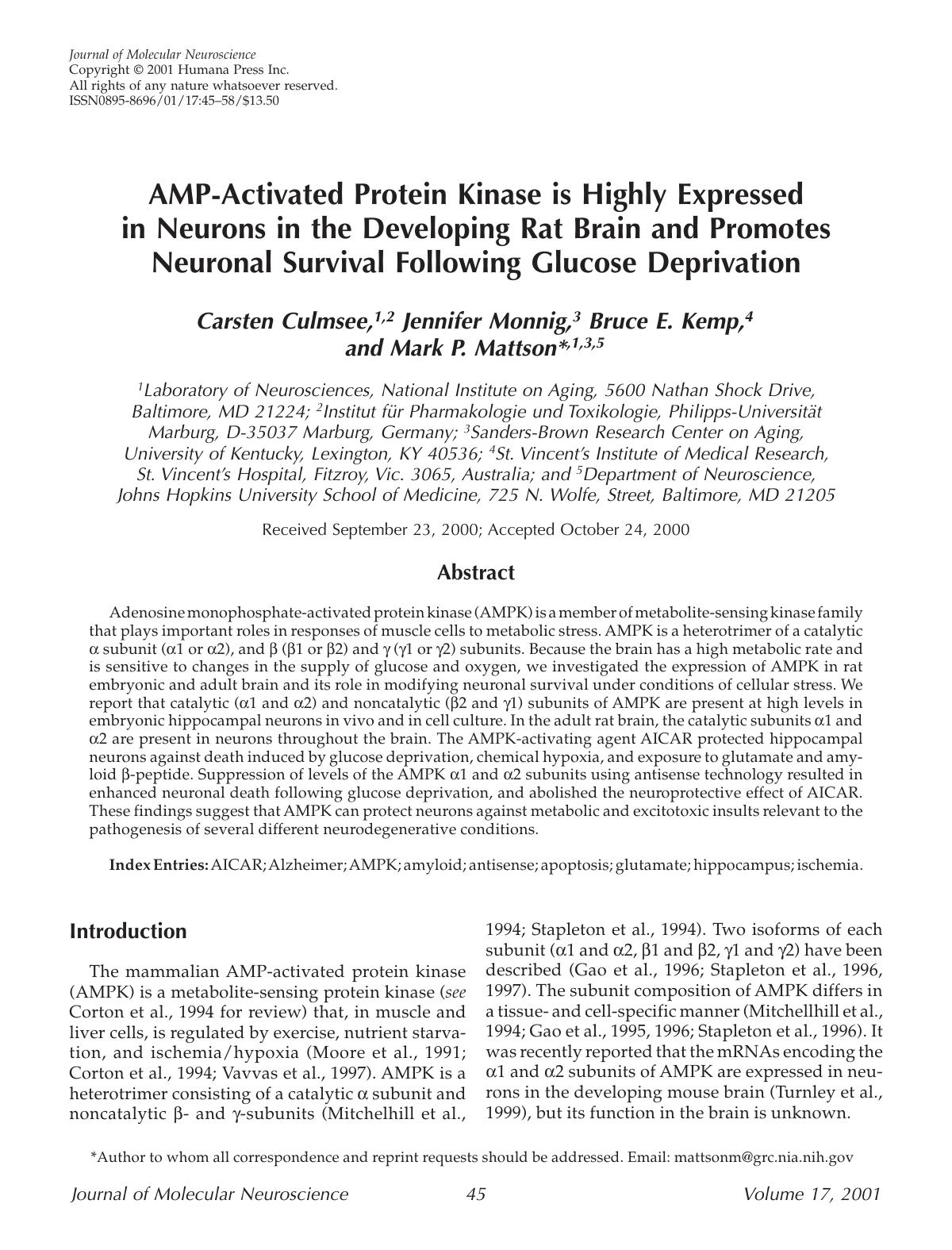 AMP-activated protein kinase is highly expressed in neurons in the developing rat brain and promotes neuronal survival following glucose deprivation by Unknown
