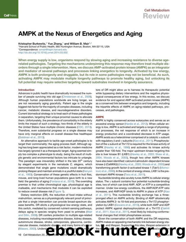 AMPK at the Nexus of Energetics and Aging by Kristopher Burkewitz & Yue Zhang & William B. Mair
