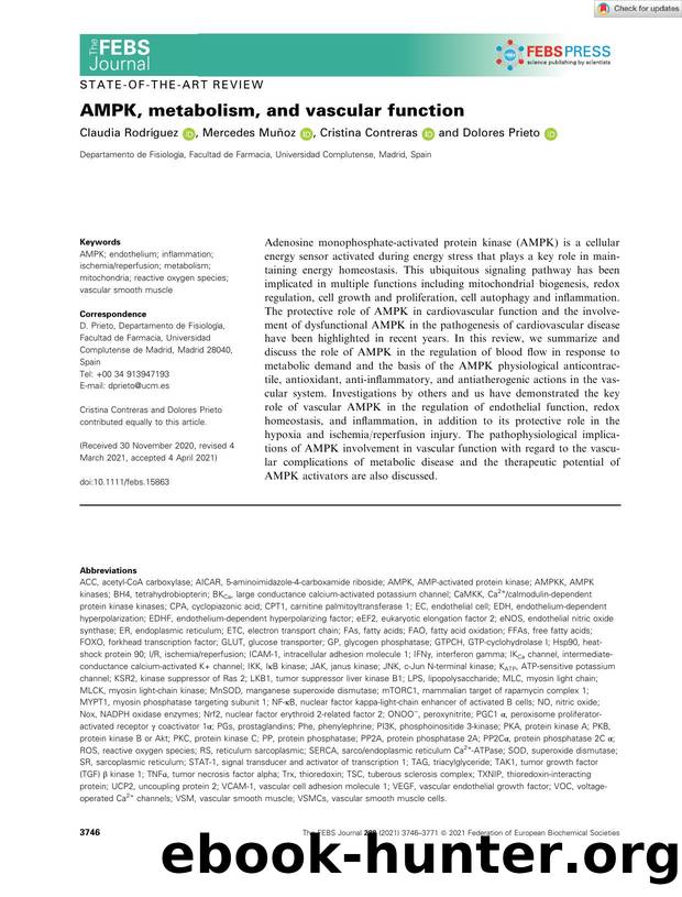 AMPK, metabolism, and vascular function by Unknown
