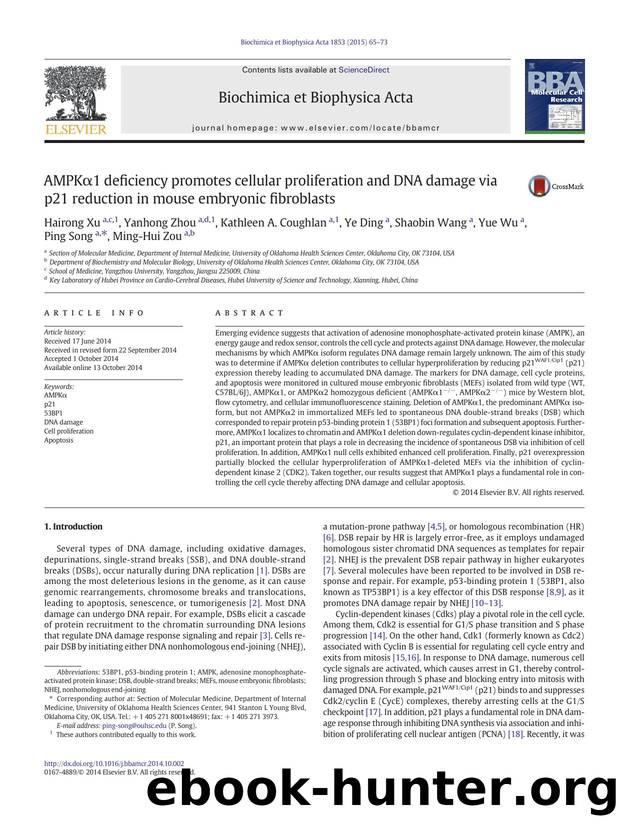 AMPKÎ±1 deficiency promotes cellular proliferation and DNA damage via p21 reduction in mouse embryonic fibroblasts by unknow