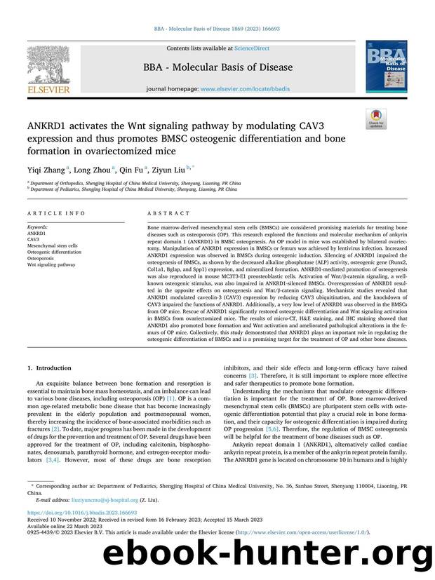 ANKRD1 activates the Wnt signaling pathway by modulating CAV3 expression and thus promotes BMSC osteogenic differentiation and bone formation in ovariectomized mice by Yiqi Zhang & Long Zhou & Qin Fu & Ziyun Liu