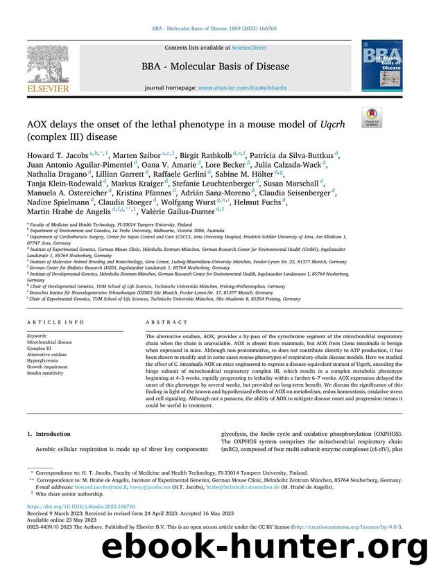 AOX delays the onset of the lethal phenotype in a mouse model of Uqcrh (complex III) disease by unknow