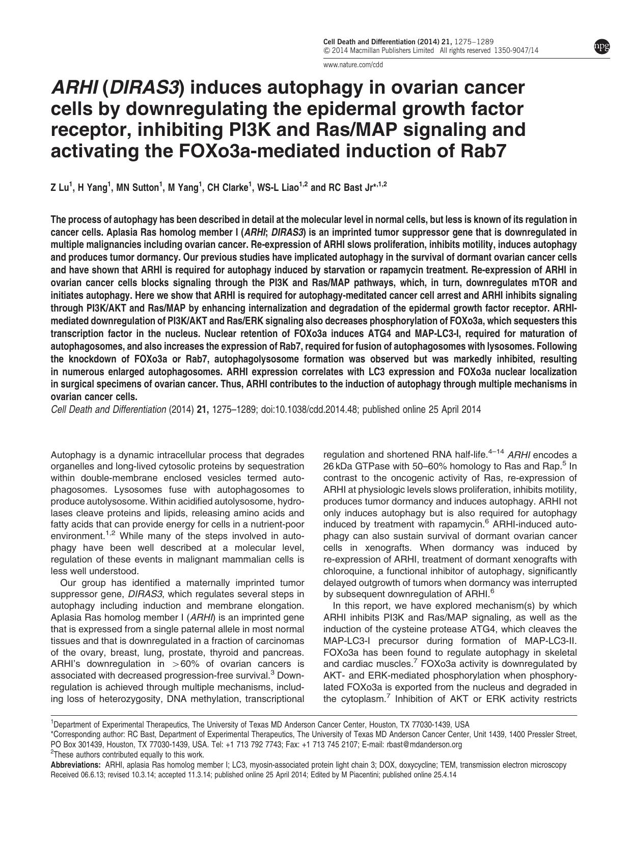 ARHI (DIRAS3) induces autophagy in ovarian cancer cells by downregulating the epidermal growth factor receptor, inhibiting PI3K and Ras&sol;MAP signaling and activating the FOXo3a- by Z Lu & H Yang & M N Sutton & M Yang & C H Clarke & W S-L Liao & R C Bast &
