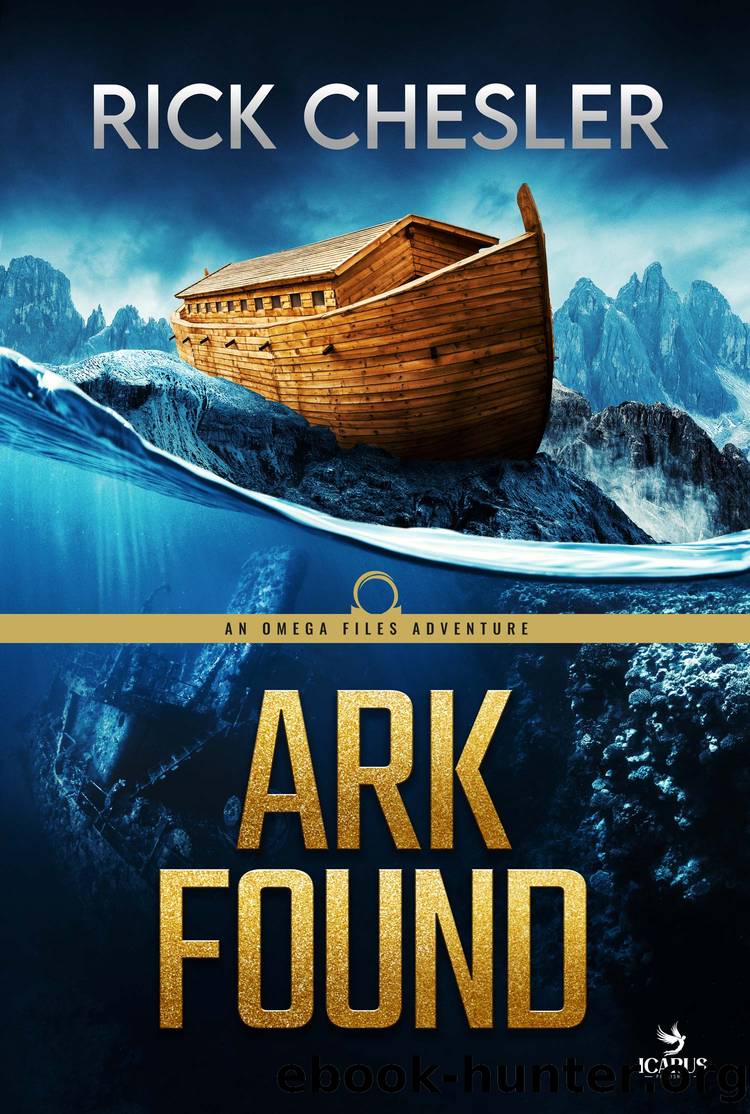 ARK FOUND by Rick Chesler