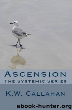 ASCENSION: THE SYSTEMIC SERIES by CALLAHAN K.W